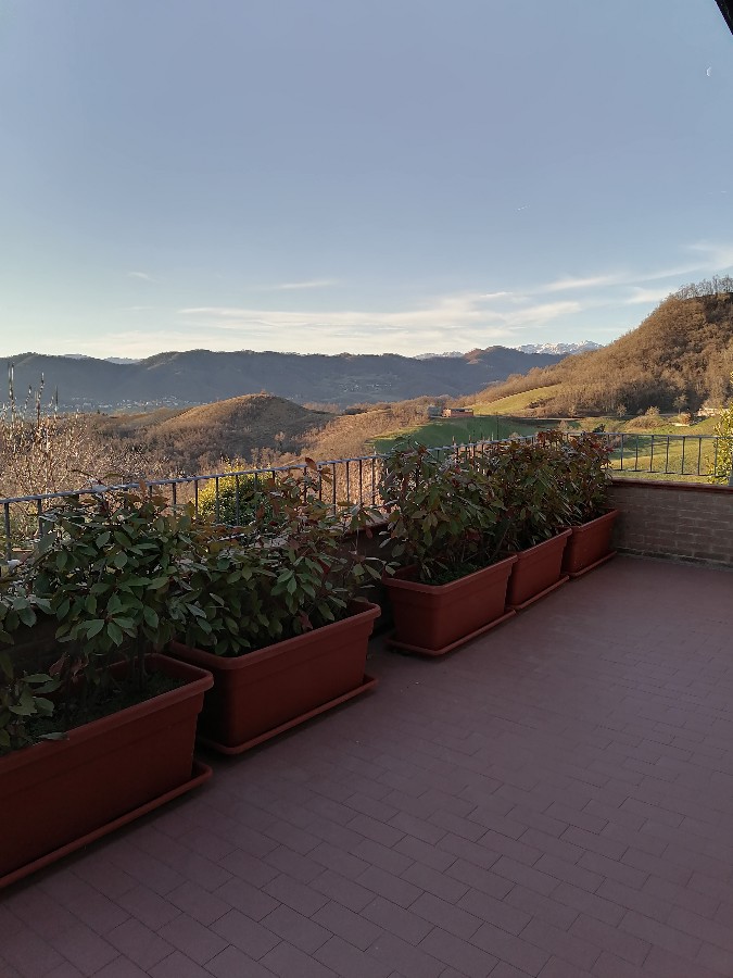 Immagine annuncio id 181697 