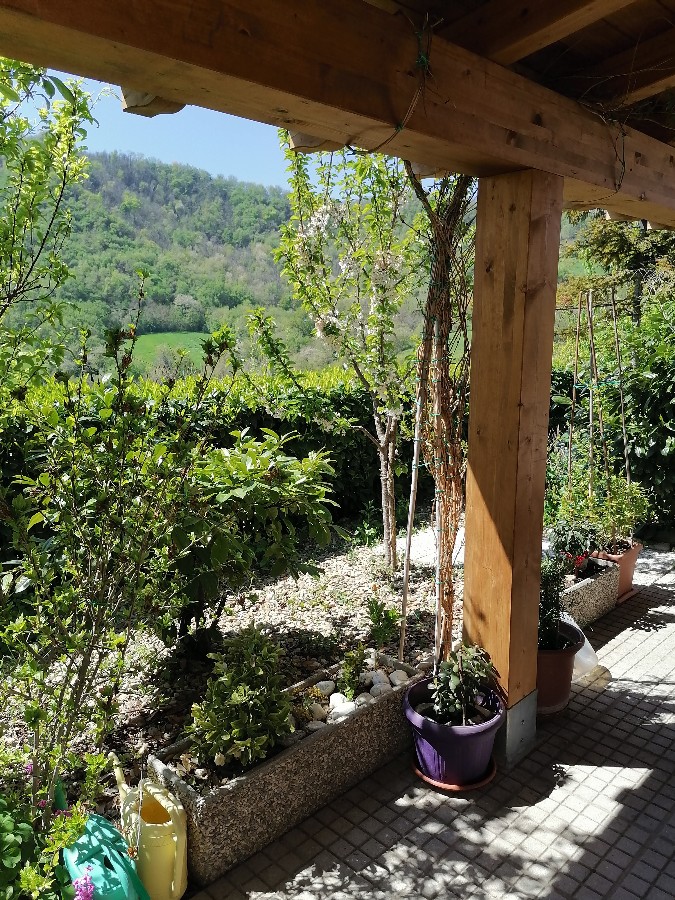 Immagine annuncio id 181697 