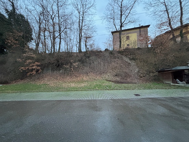 Immagine annuncio id 175849 