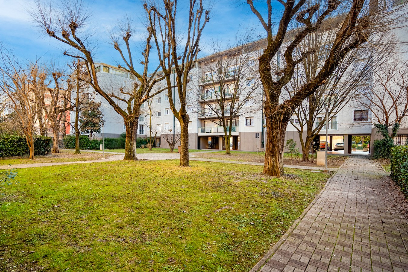 Immagine annuncio id 181963 