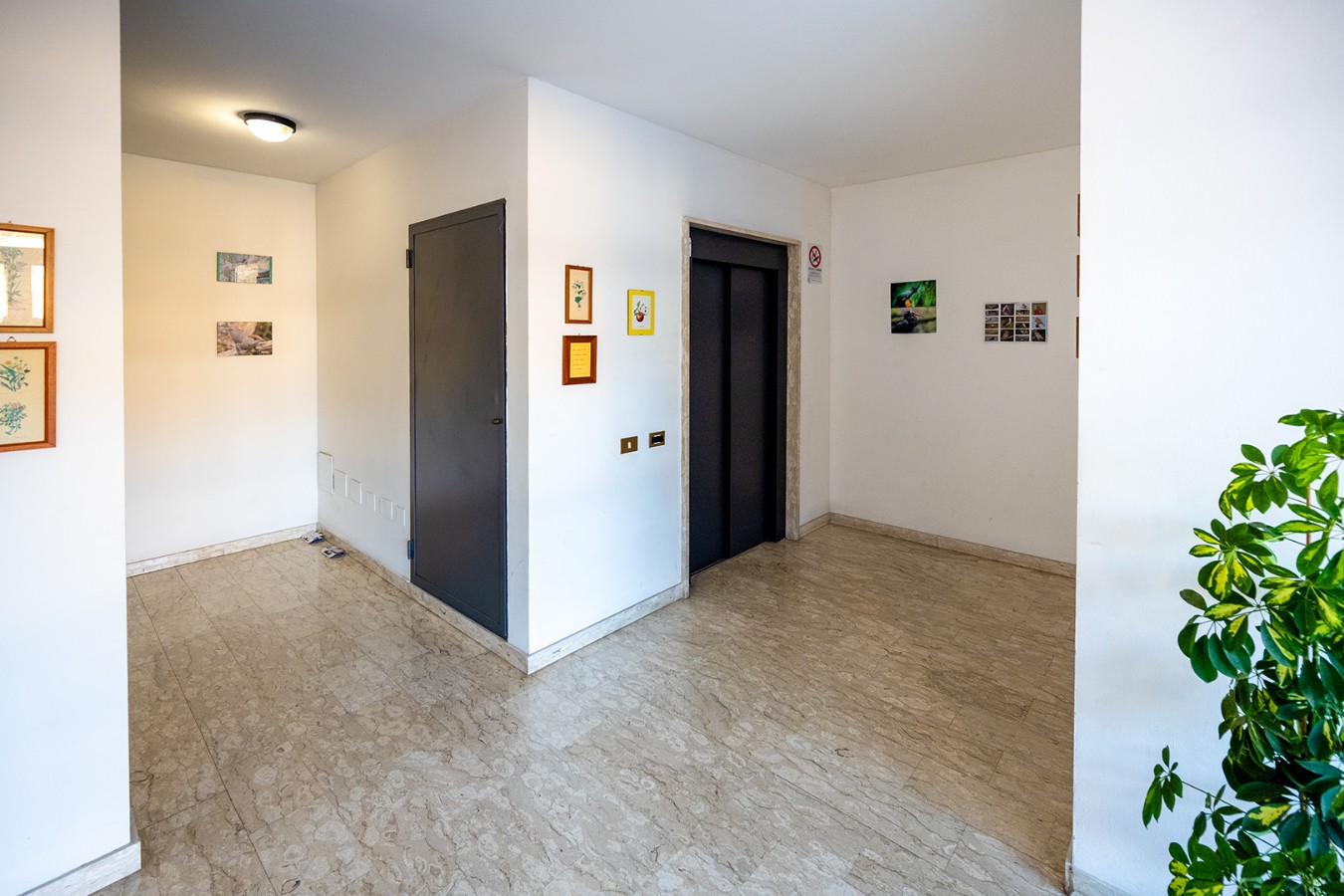 Immagine annuncio id 181963 