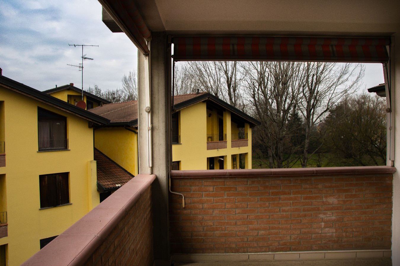 Immagine annuncio id 182055 