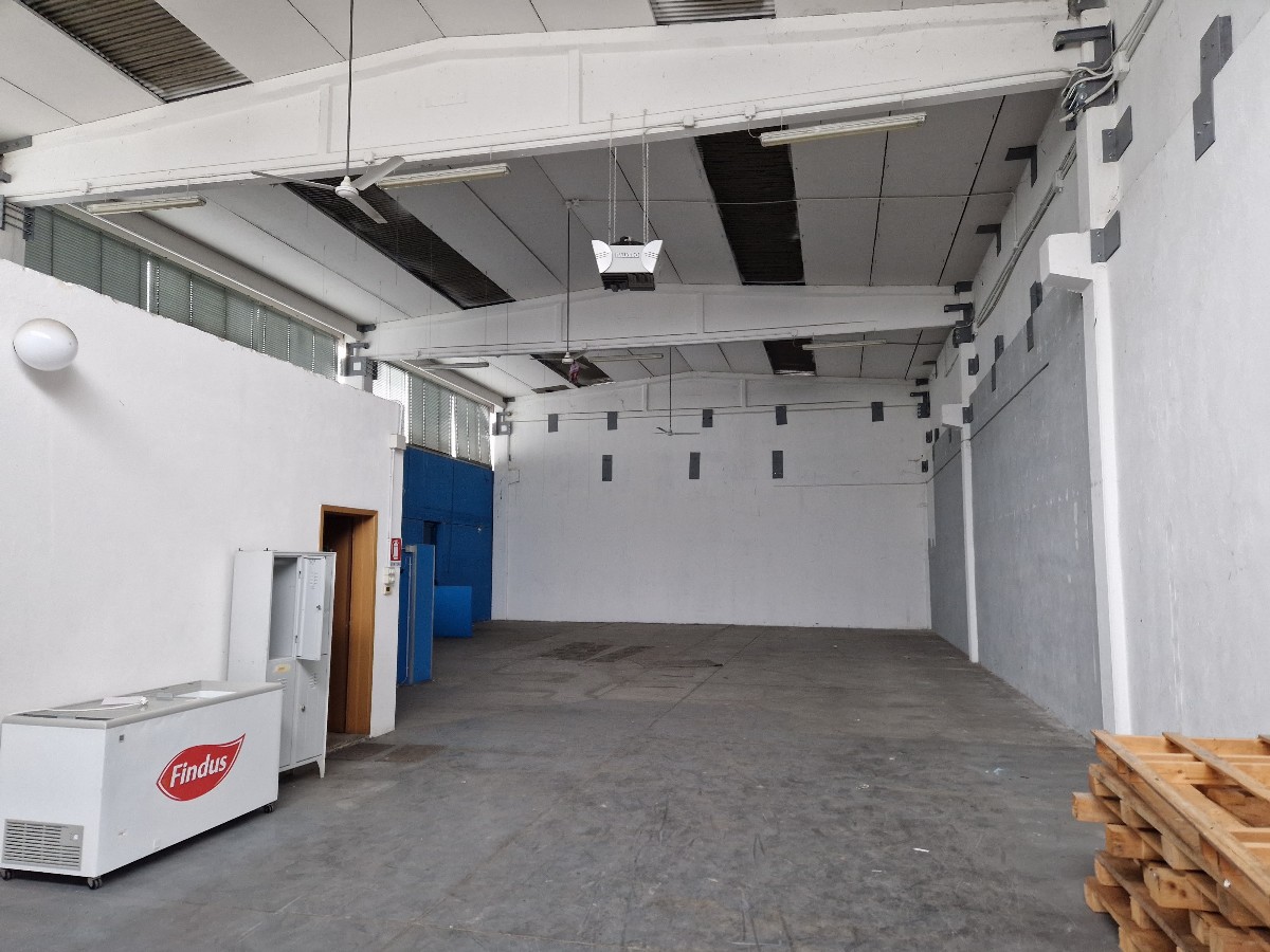 Immagine annuncio id 182035 