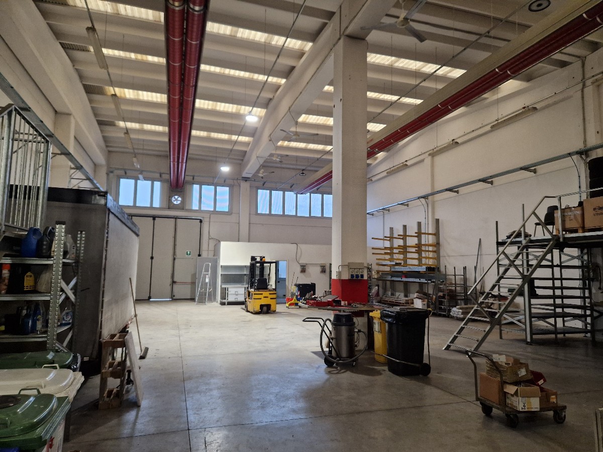 Immagine annuncio id 181693 