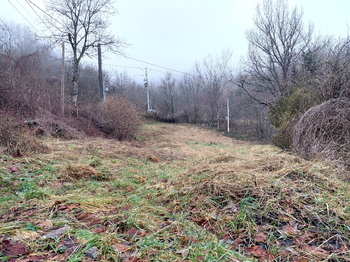 Immagine annuncio id 182096 