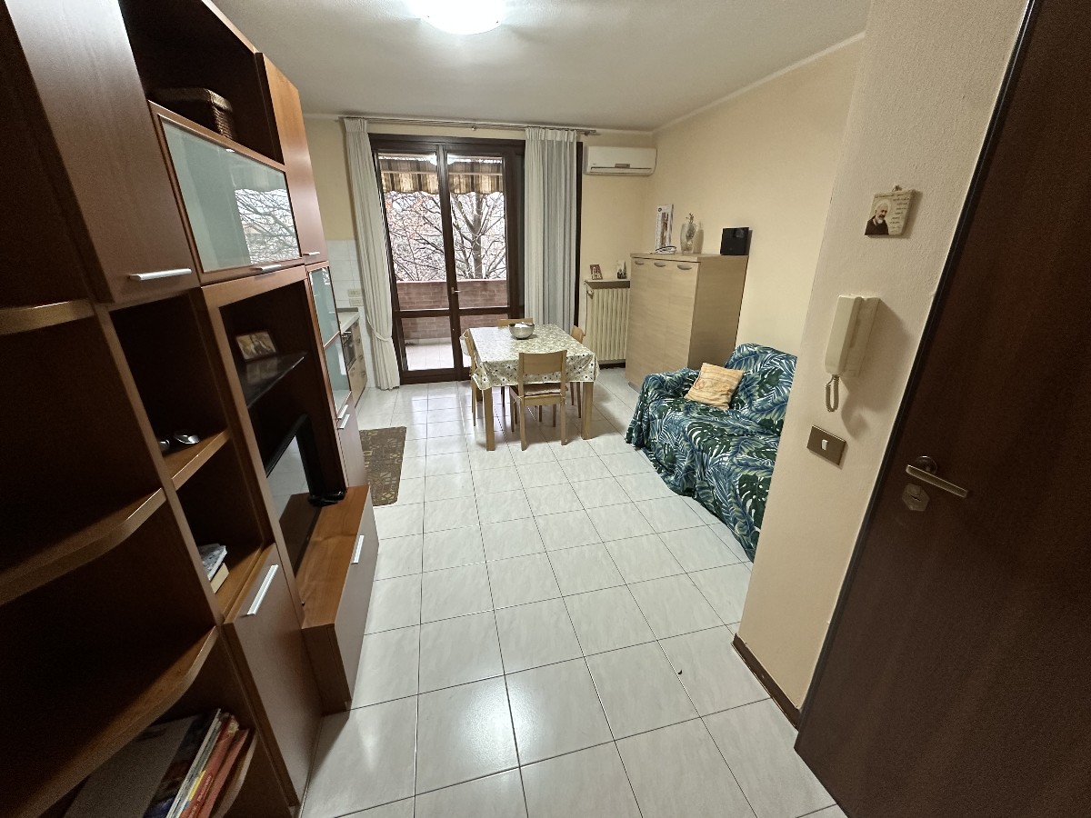 Immagine annuncio id 181876 