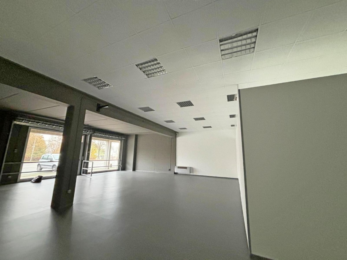 Immagine annuncio id 182674 