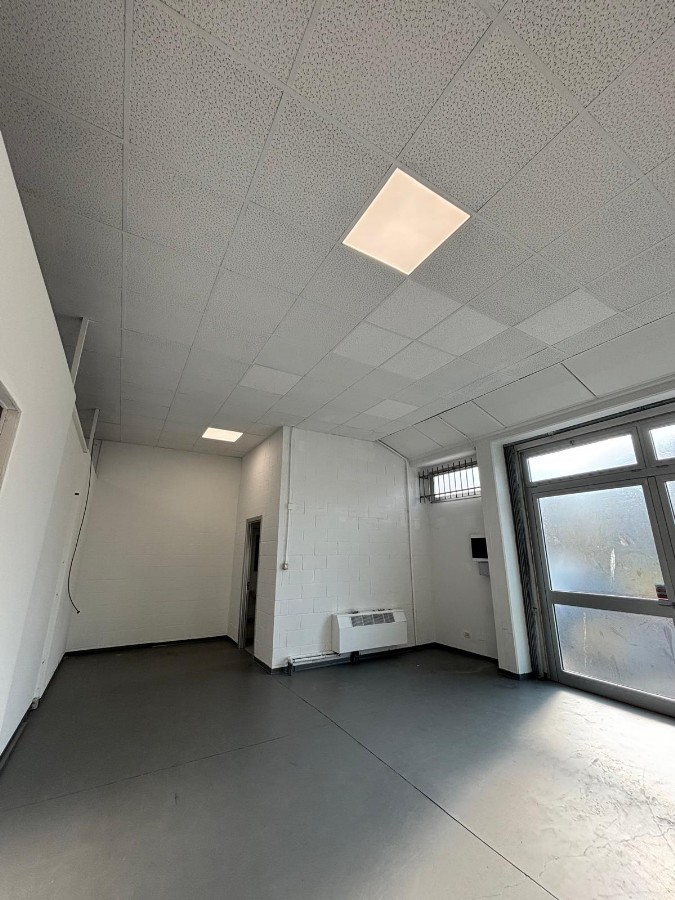 Immagine annuncio id 182674 