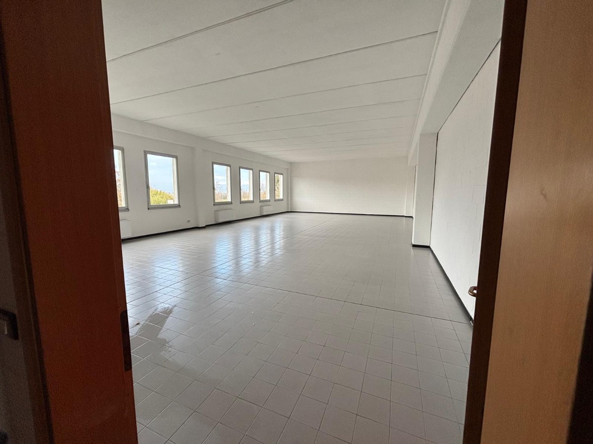 Immagine annuncio id 182683 