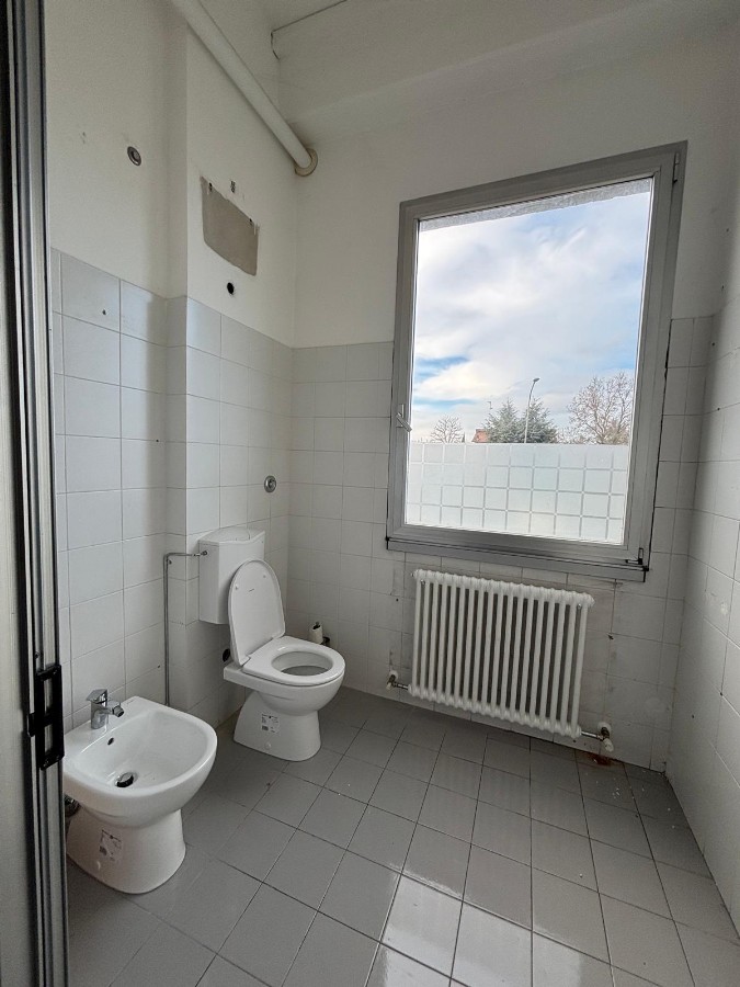 Immagine annuncio id 182683 