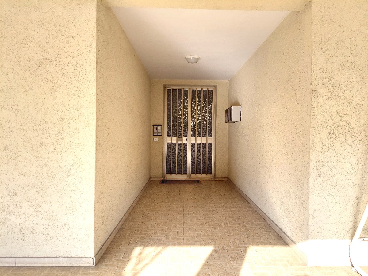 Immagine annuncio id 182791 