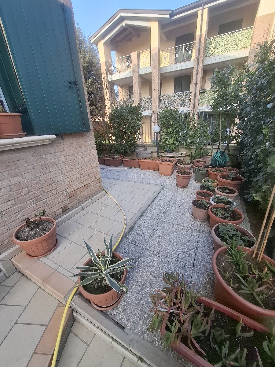 Immagine annuncio id 162541 