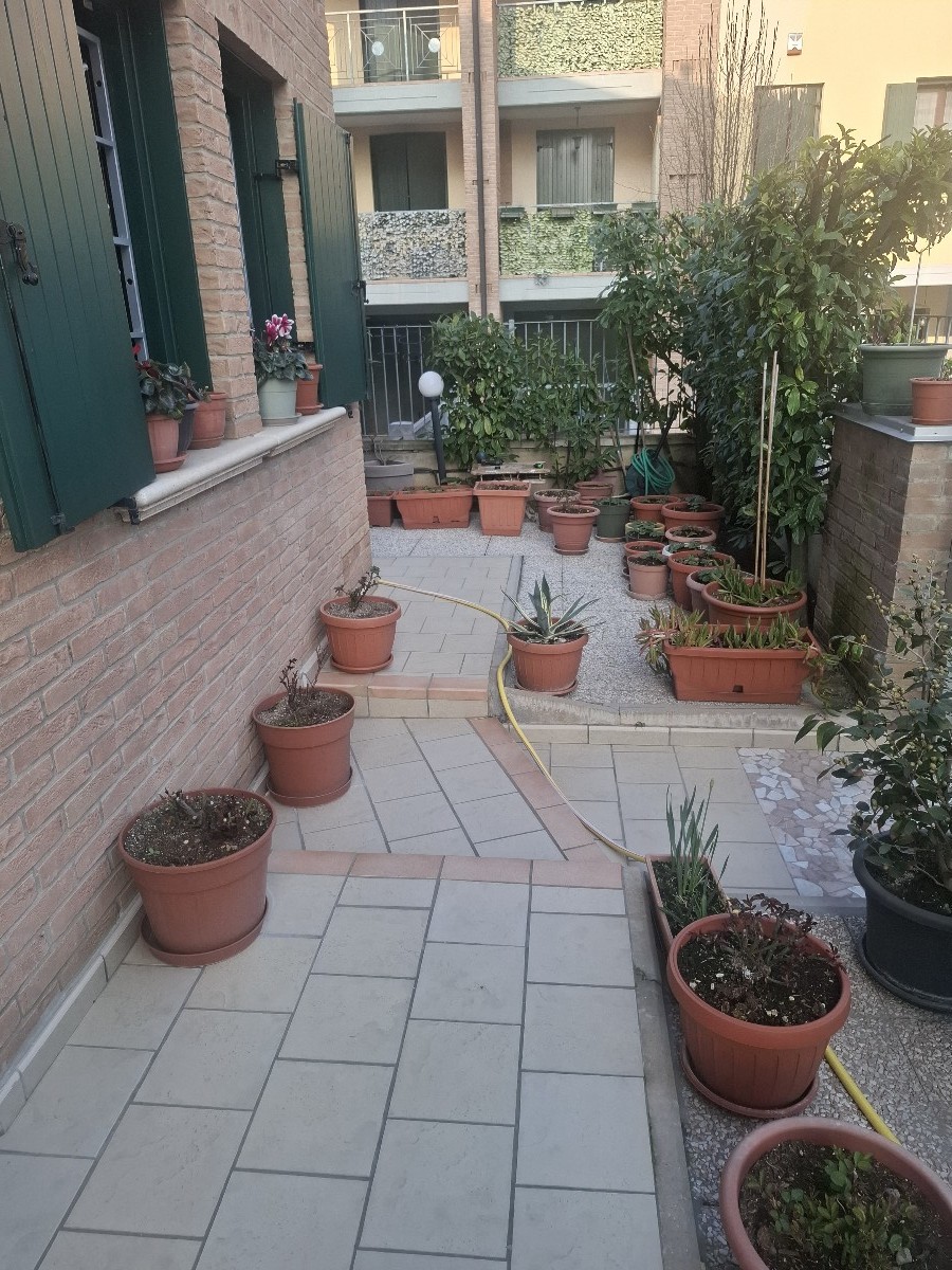 Immagine annuncio id 162541 