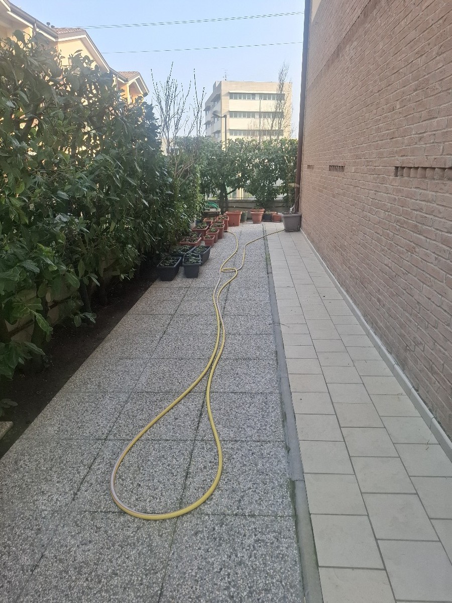 Immagine annuncio id 162541 