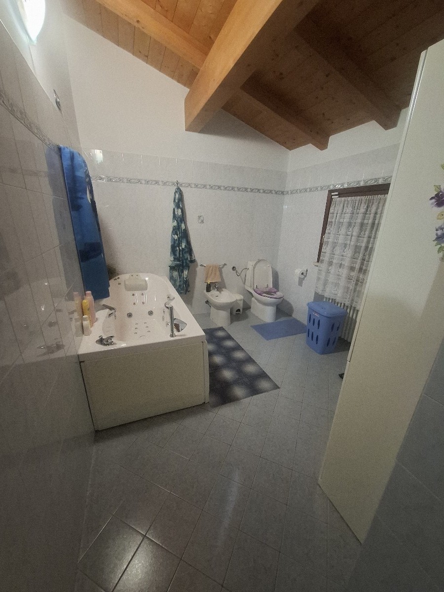 Immagine annuncio id 162541 