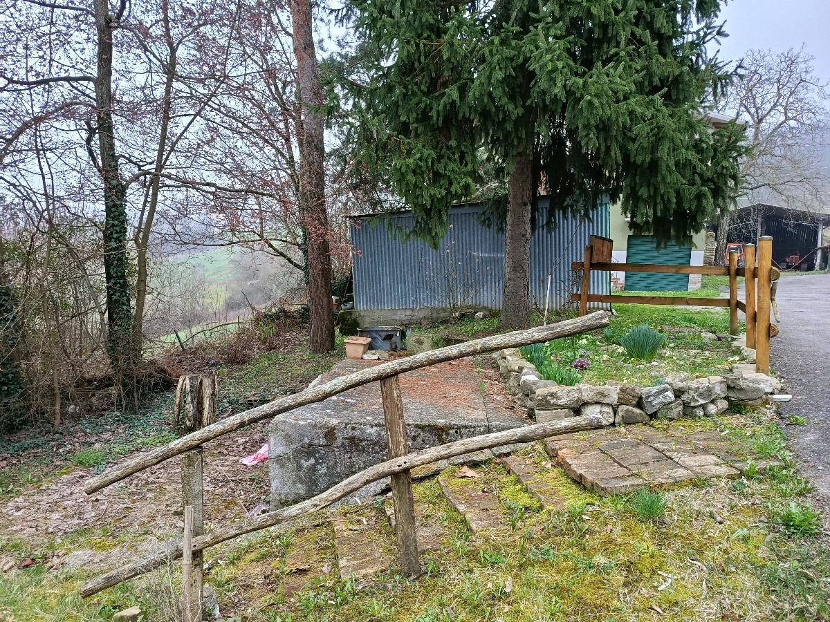 Immagine annuncio id 183440 