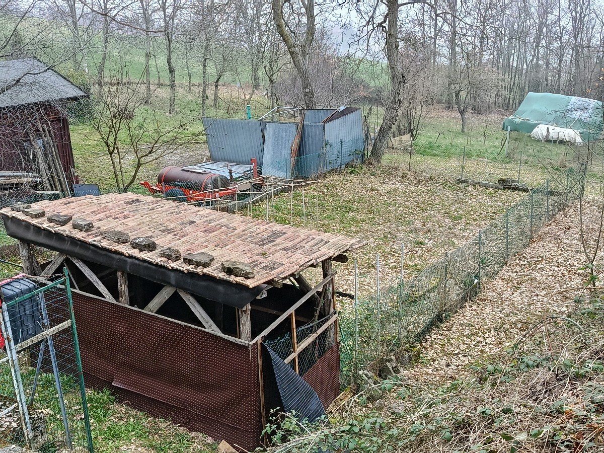 Immagine annuncio id 183440 