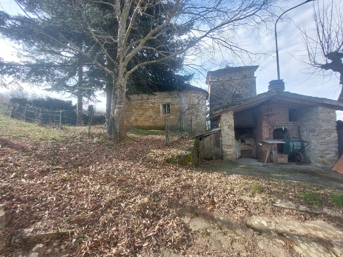 Immagine annuncio id 183375 