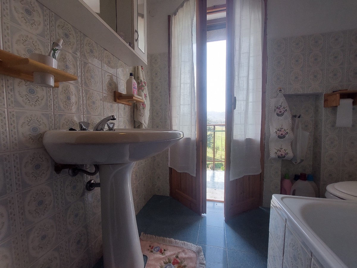 Immagine annuncio id 183375 