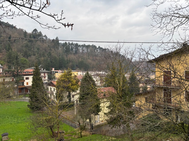 Immagine annuncio id 183516 