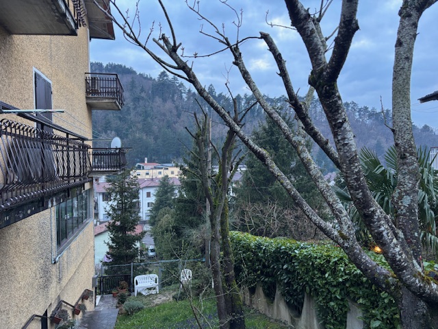 Immagine annuncio id 183516 