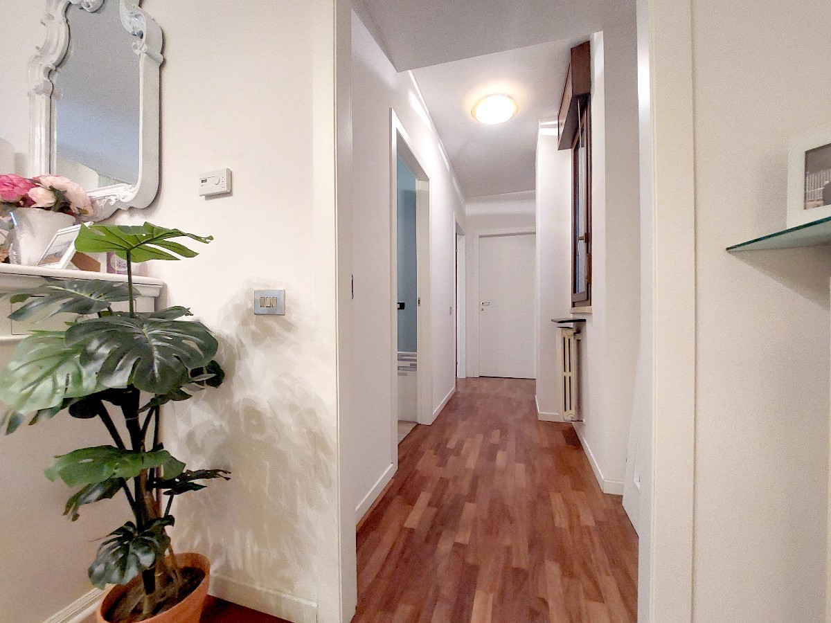 Immagine annuncio id 183488 