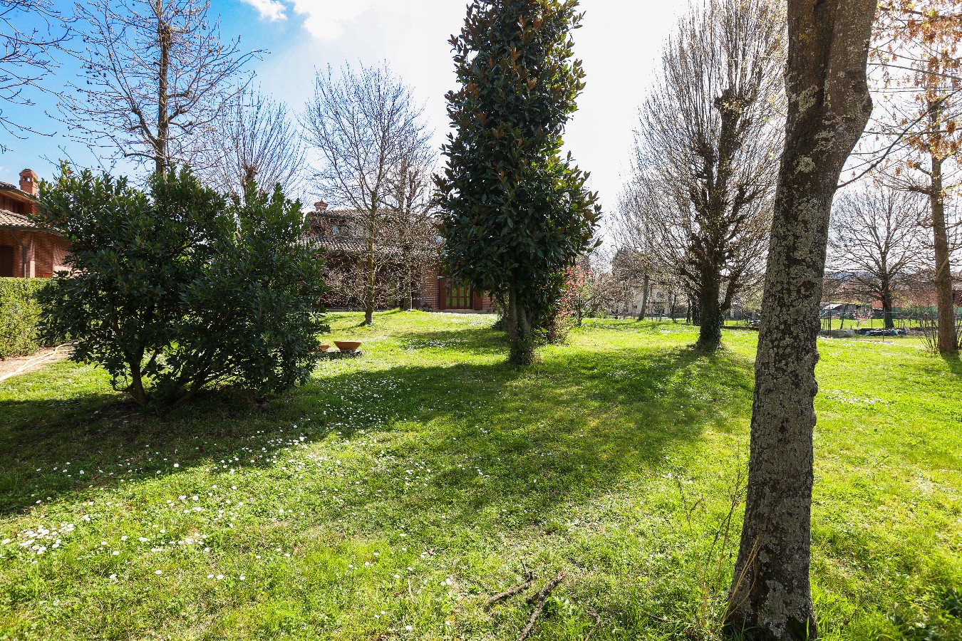 Immagine annuncio id 183624 