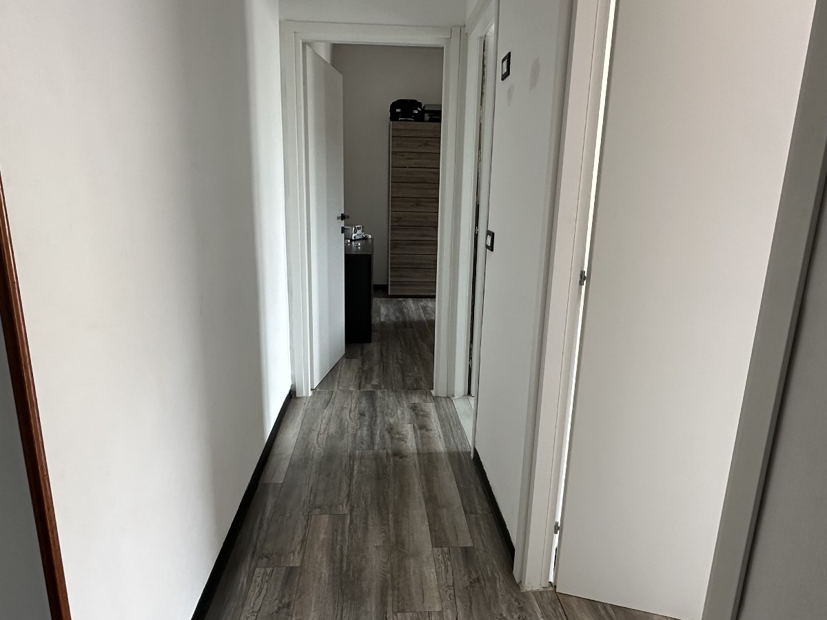 Immagine annuncio id 183686 