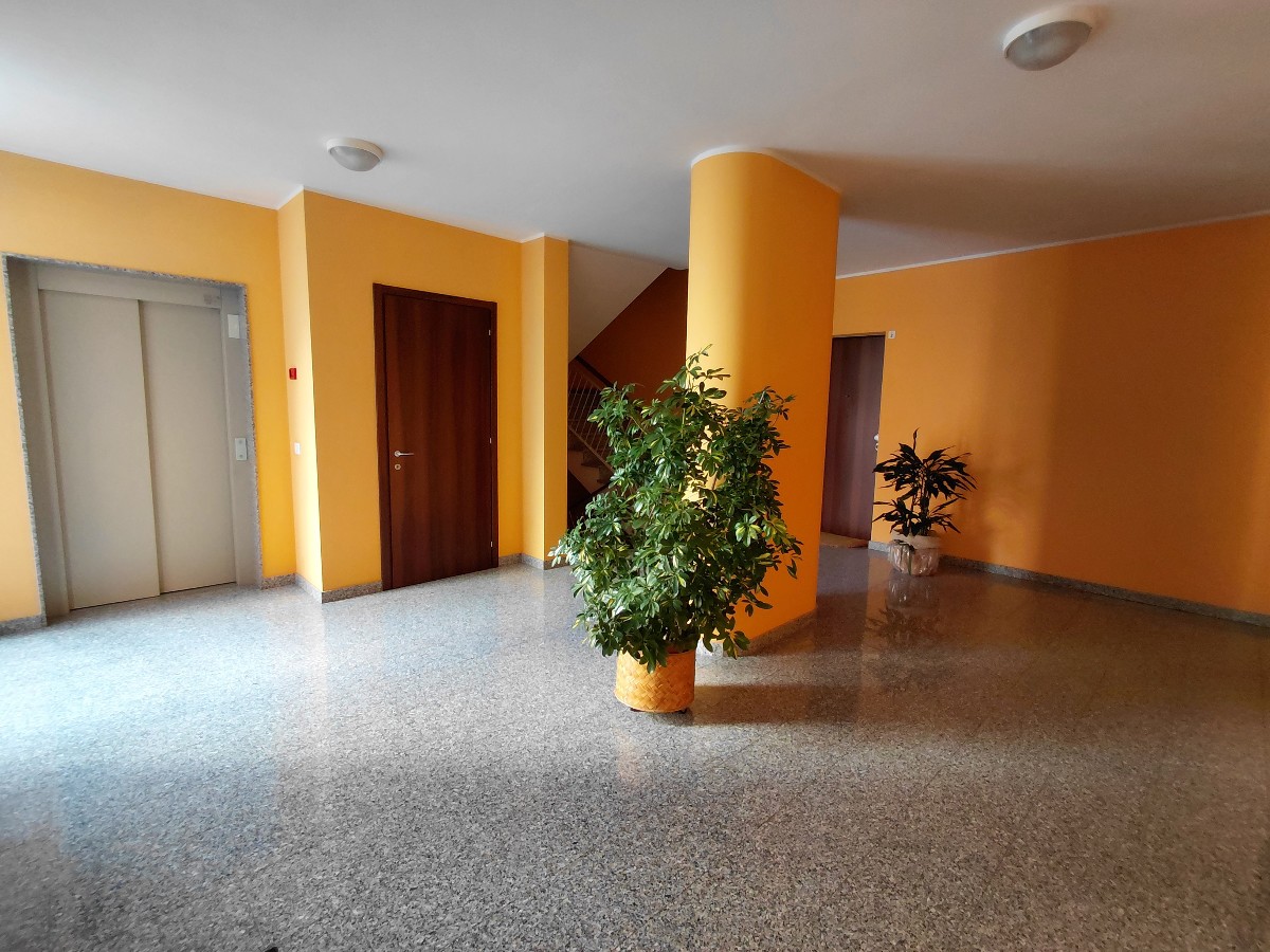 Immagine annuncio id 183012 