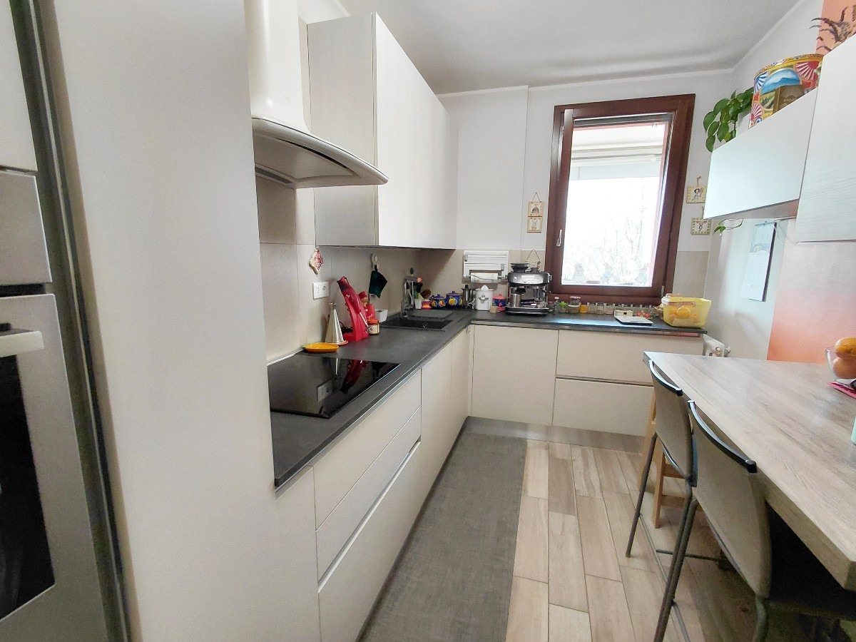 Immagine annuncio id 183012 