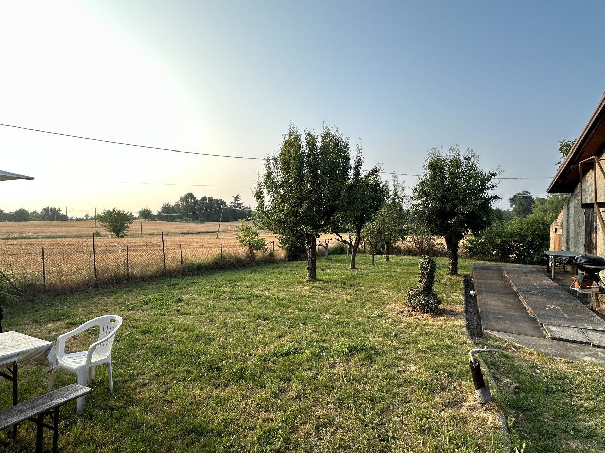 Immagine annuncio id 184367 