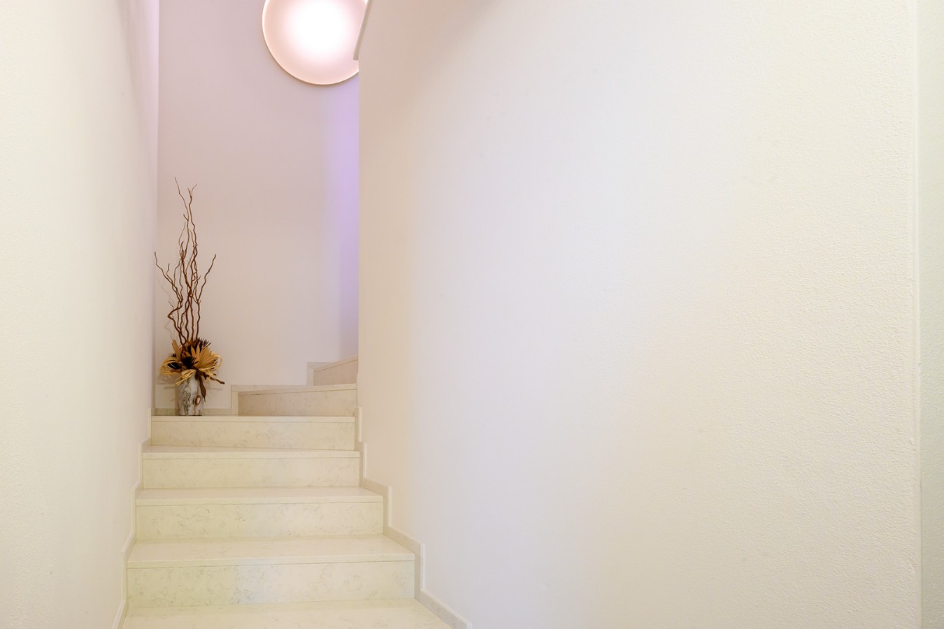 Immagine annuncio id 183771 