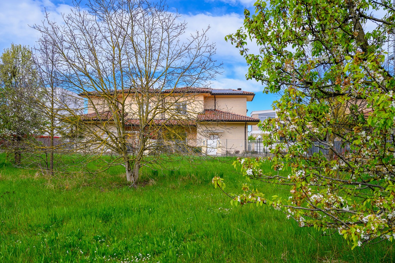 Immagine annuncio id 183771 