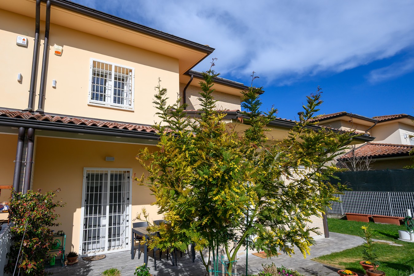 Immagine annuncio id 183771 