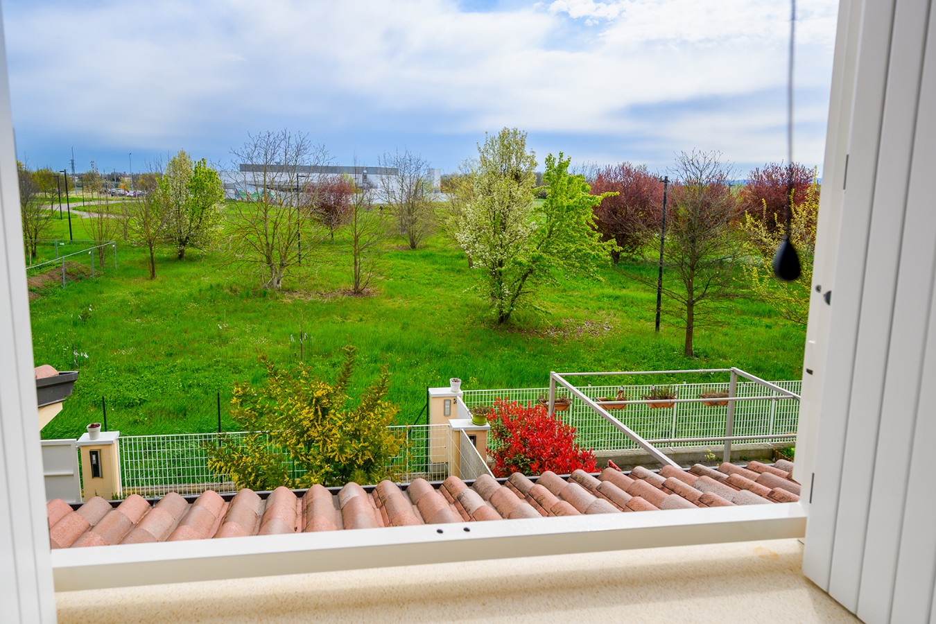 Immagine annuncio id 183771 