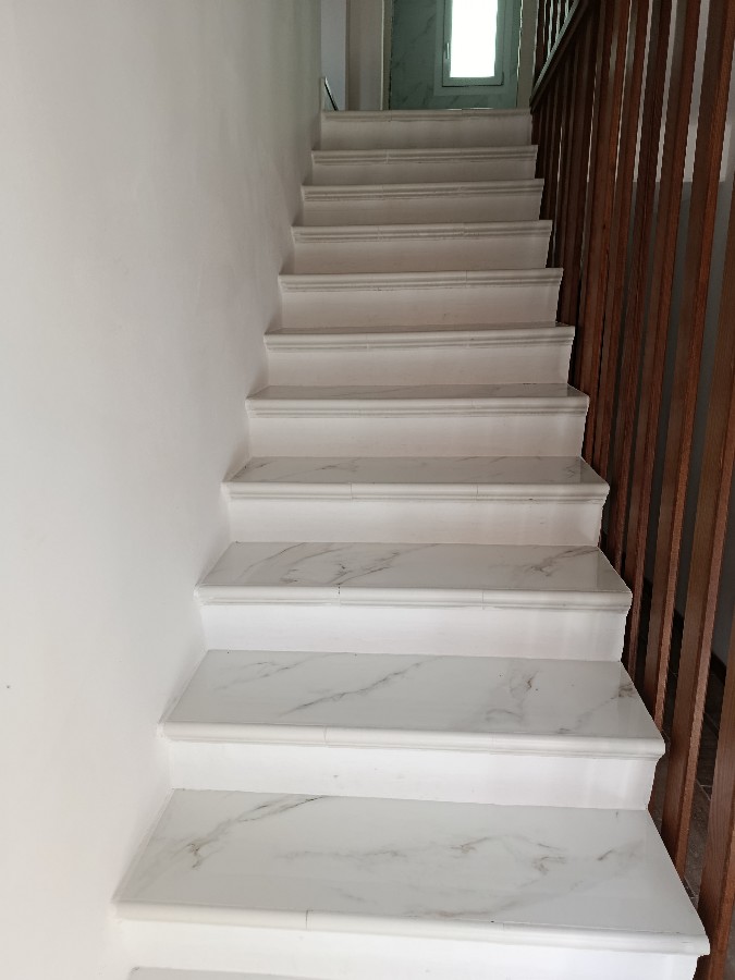 Immagine annuncio id 183969 