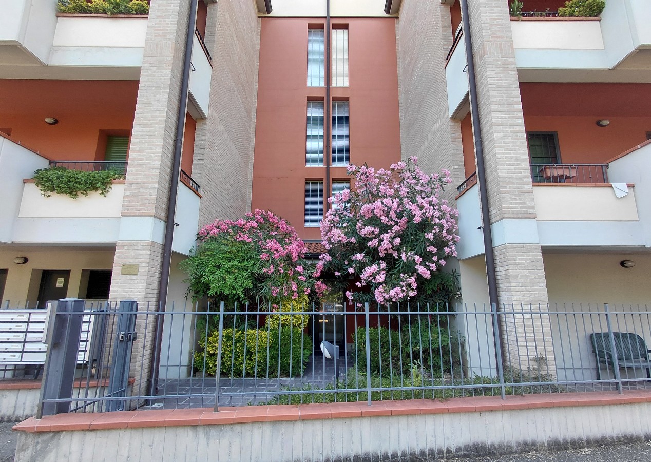 Immagine annuncio id 185445 