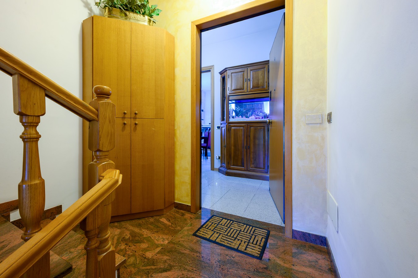 Immagine annuncio id 186375 