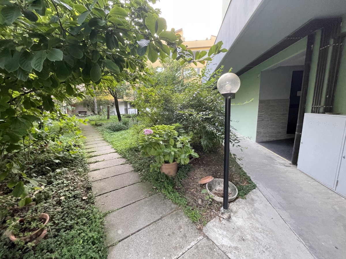 Immagine annuncio id 186255 
