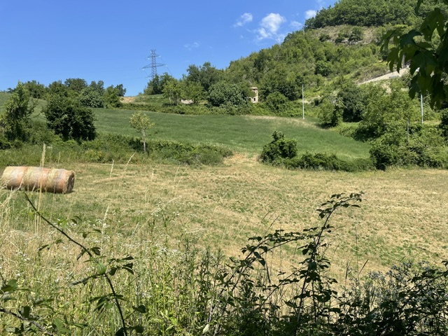 Immagine annuncio id 186117 