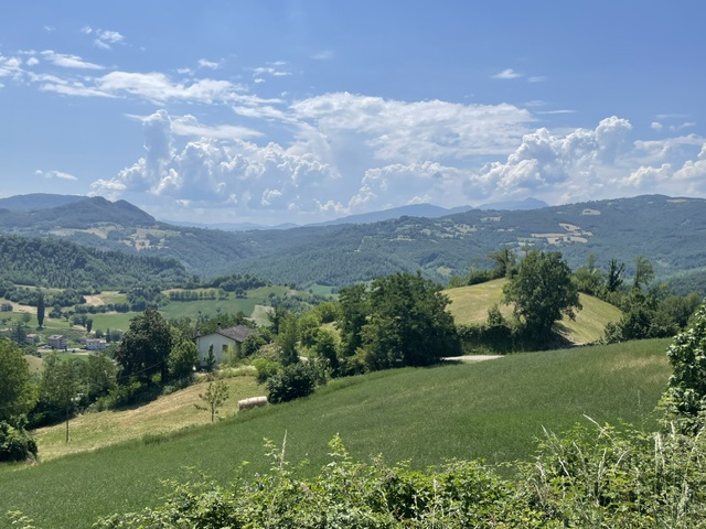 Immagine annuncio id 186117 