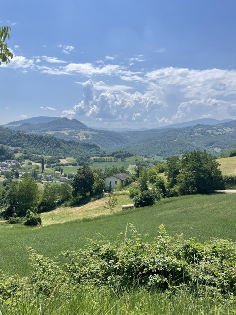 Immagine annuncio id 186117 
