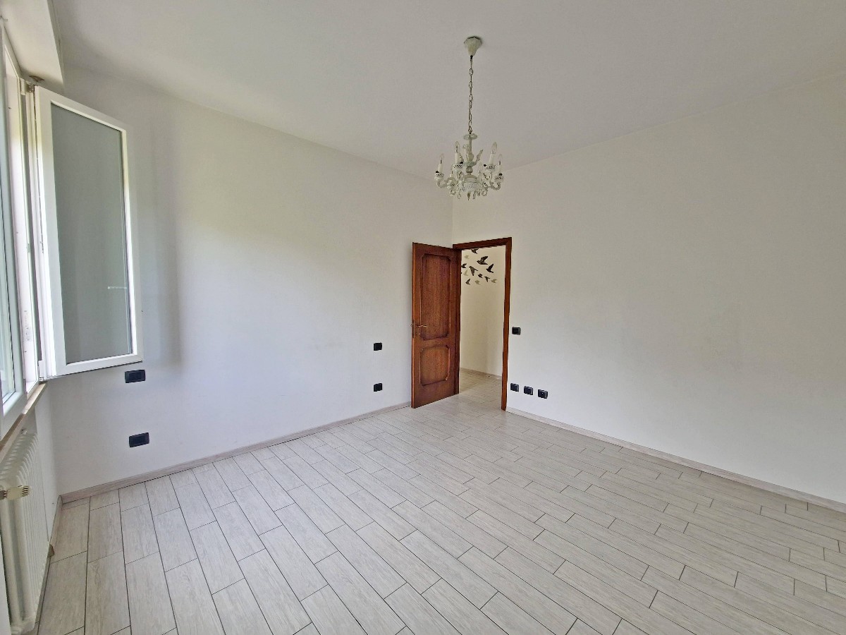 Immagine annuncio id 186497 