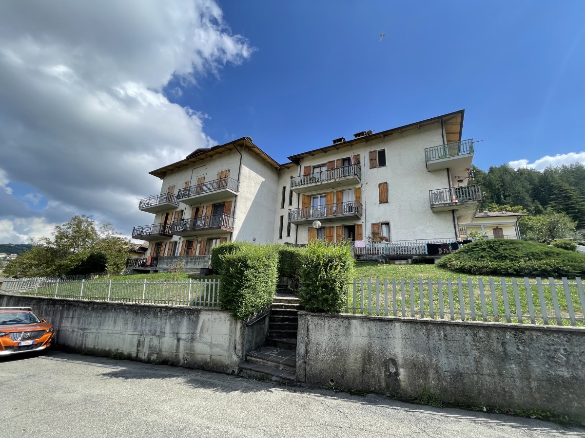 Immagine annuncio id 186704 