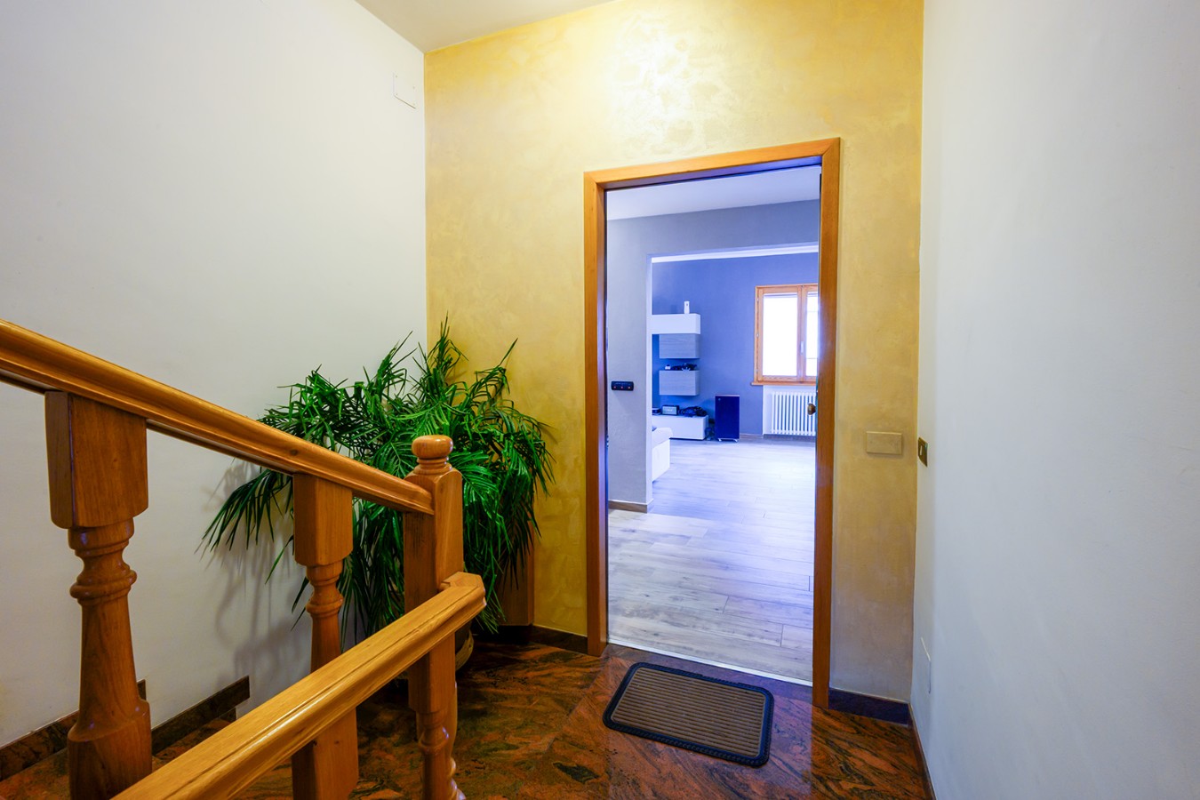 Immagine annuncio id 187067 